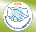 Logo AIG