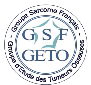 Logo GSF-GETO